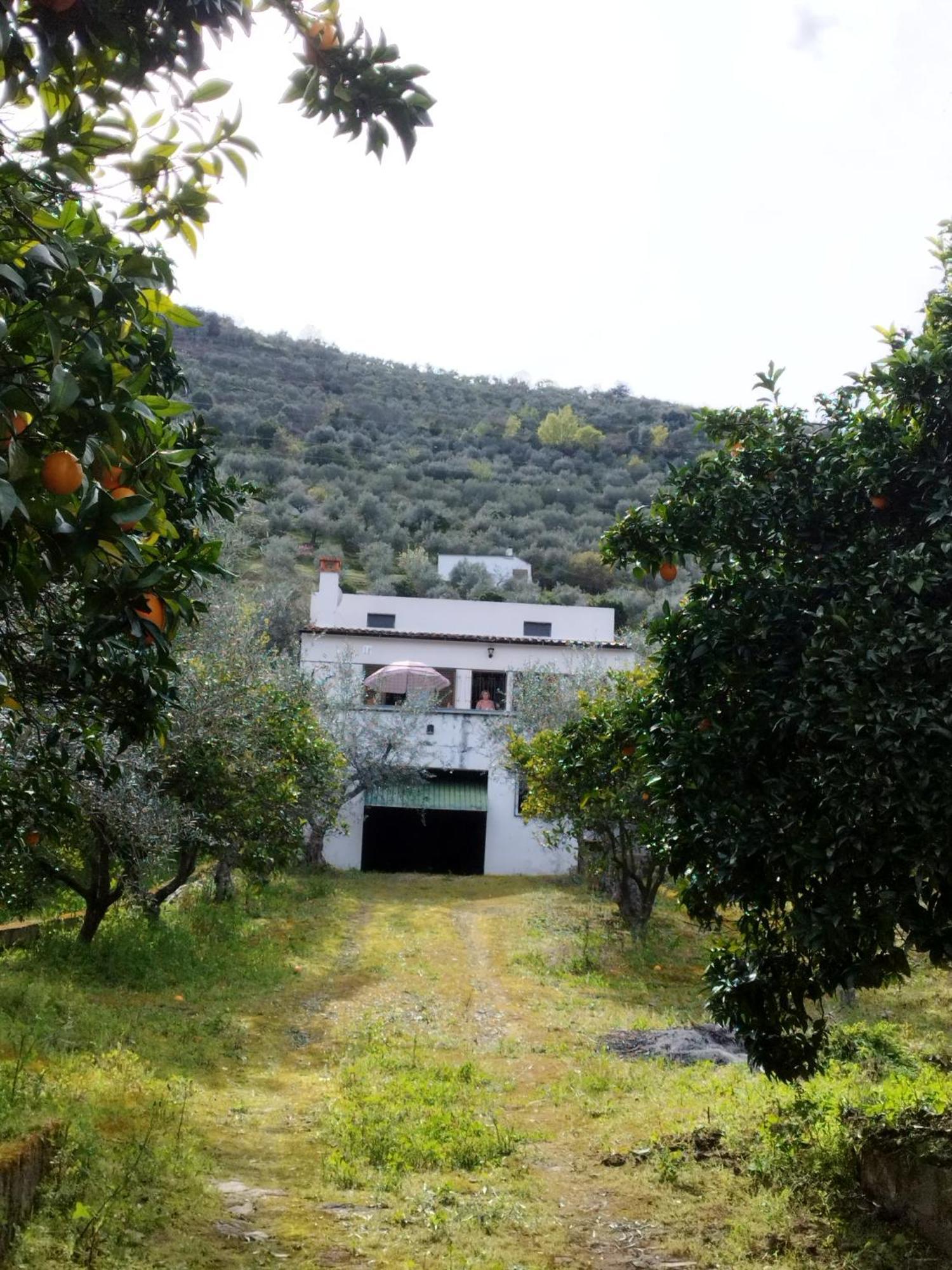 Casa Do Rio Villa Freixo de Espada à Cinta Eksteriør bilde