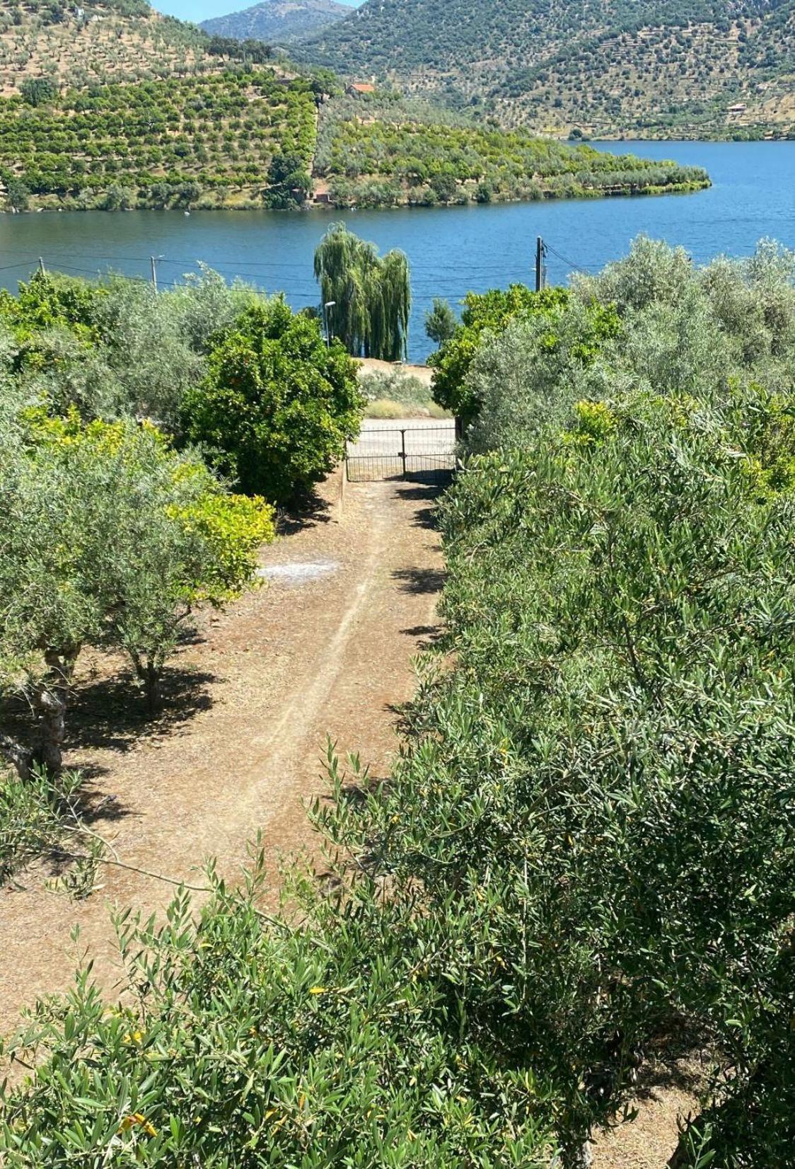 Casa Do Rio Villa Freixo de Espada à Cinta Eksteriør bilde